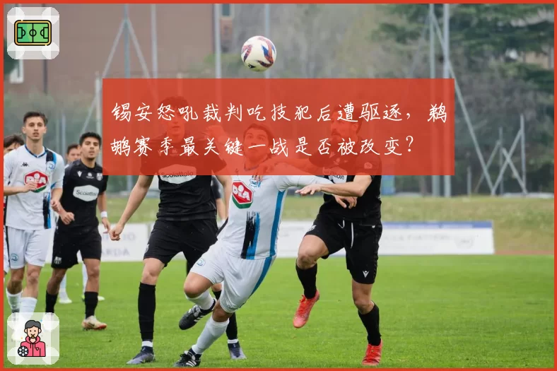 锡安怒吼裁判吃技犯后遭驱逐，鹈鹕赛季最关键一战是否被改变？
