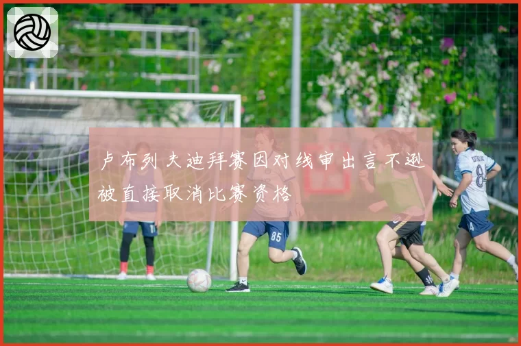 卢布列夫迪拜赛因对线审出言不逊被直接取消比赛资格