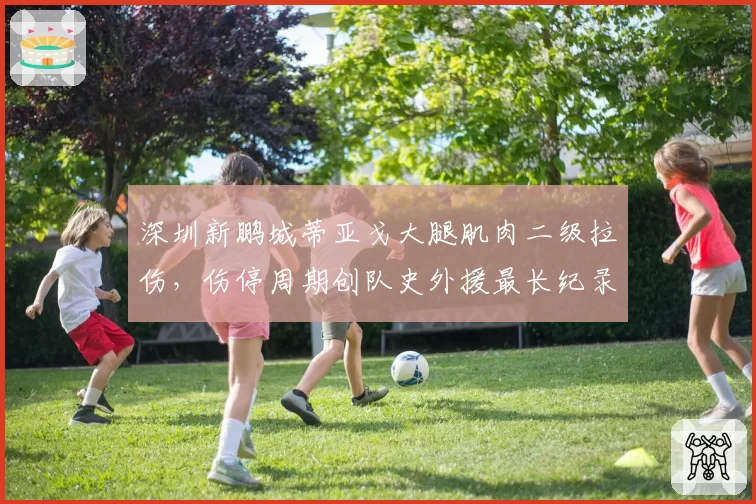 深圳新鹏城蒂亚戈大腿肌肉二级拉伤,伤停周期创队史外援最长纪录