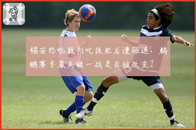 锡安怒吼裁判吃技犯后遭驱逐，鹈鹕赛季最关键一战是否被改变？